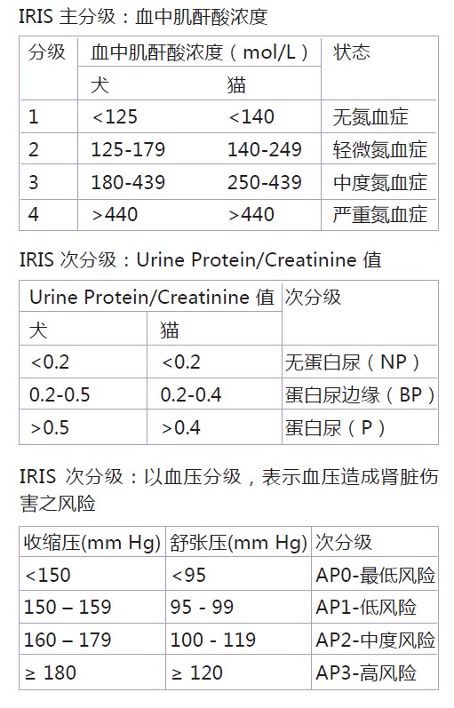 鸭脖官网