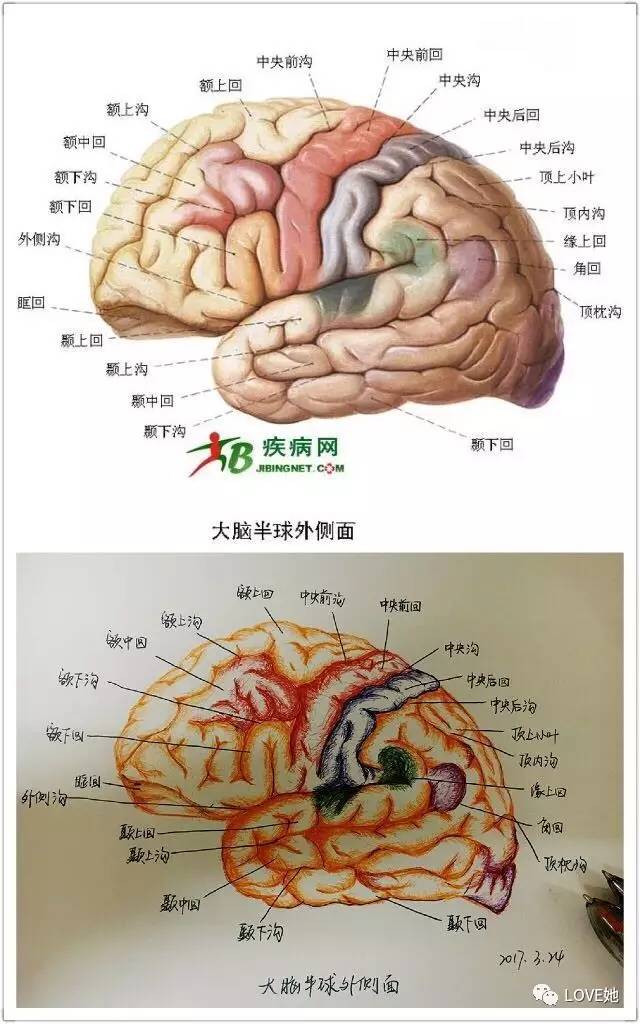 鸭脖官网